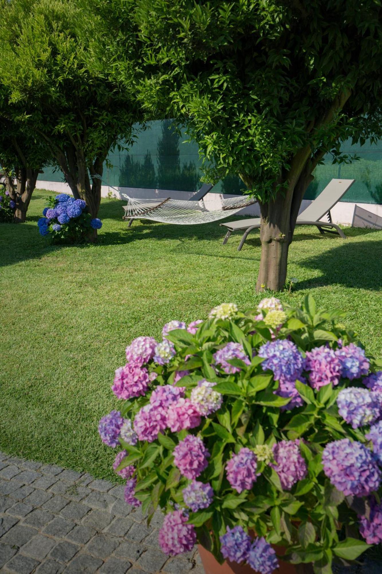 Suite Em Viana Do Castelo Dış mekan fotoğraf
